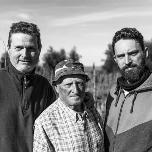 Az. Agr. Fossacolle di Marchetti Sergio