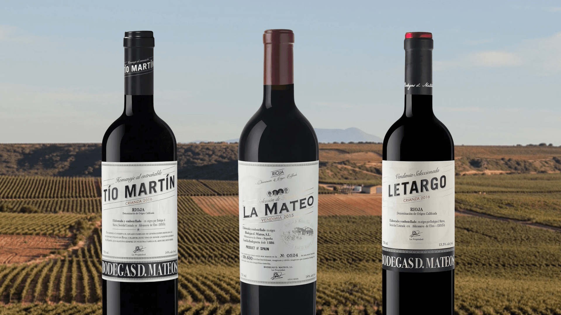 Cap sur la Rioja avec Bodegas Dos Mateos