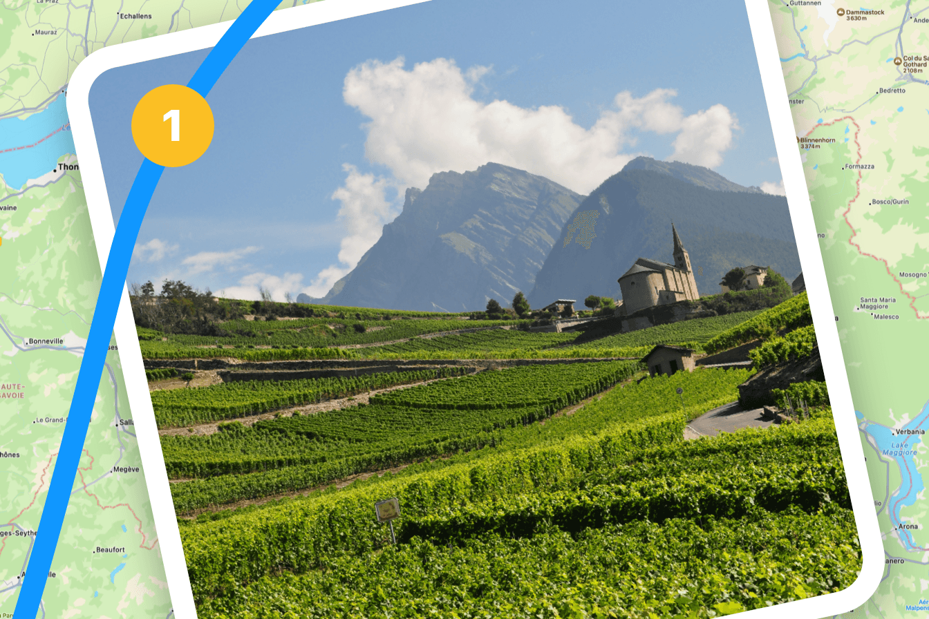 Guide des Vins du Valais