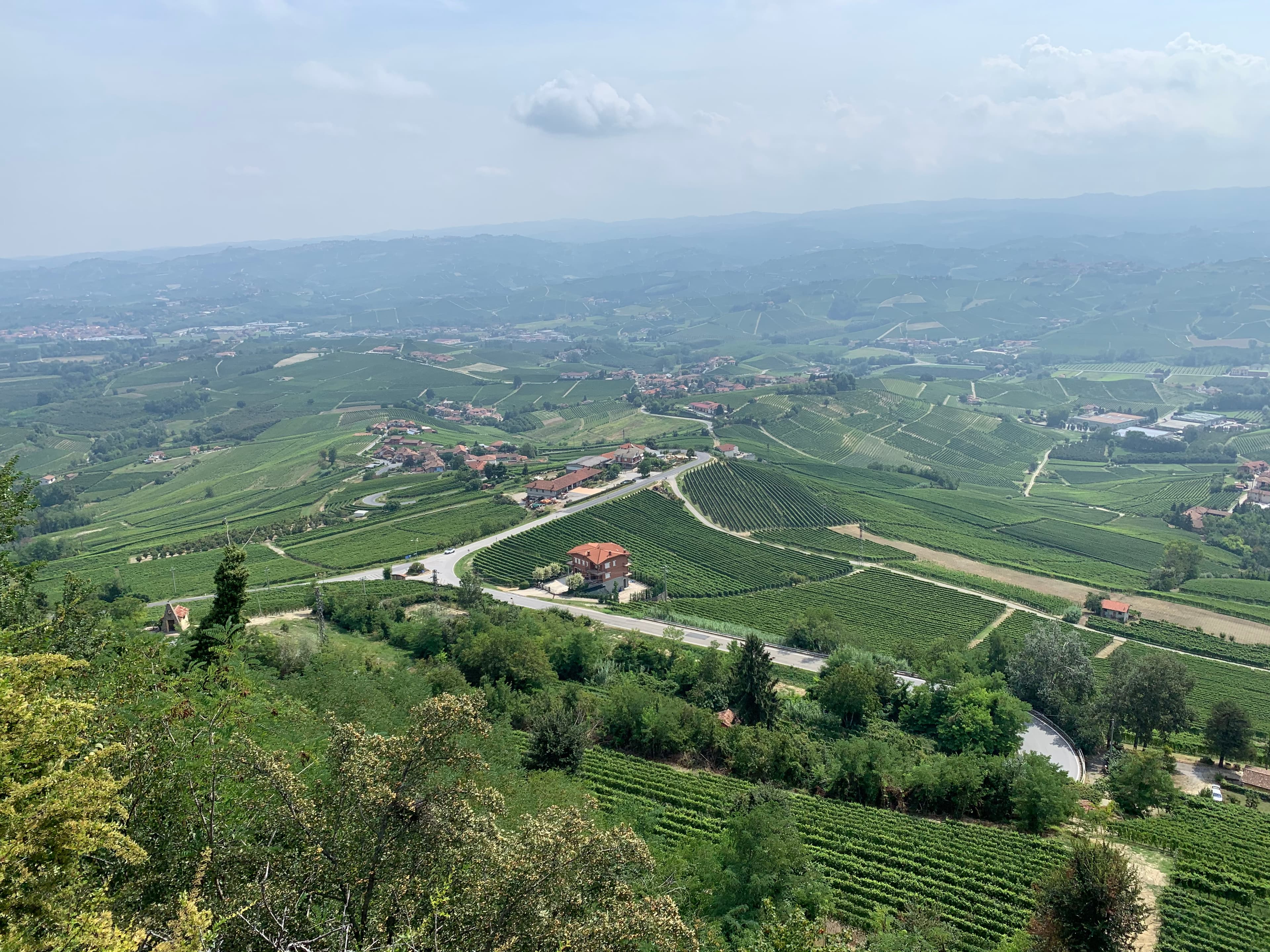 Le Piémont, là où le vin italien atteint ses sommets
