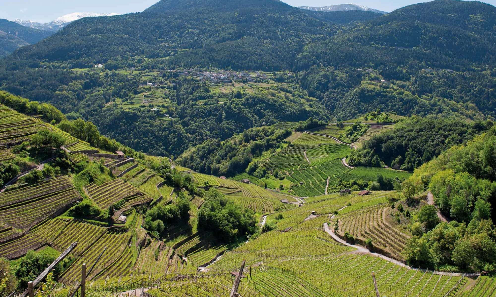 Le Trentin-Haut-Adige, perle cachée des Dolomites