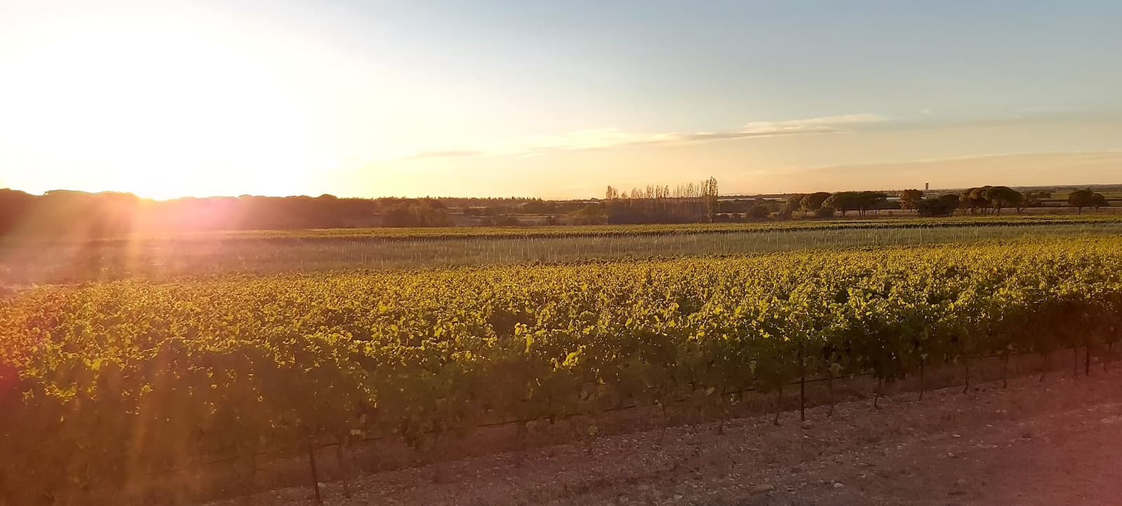 Château de Valcombe