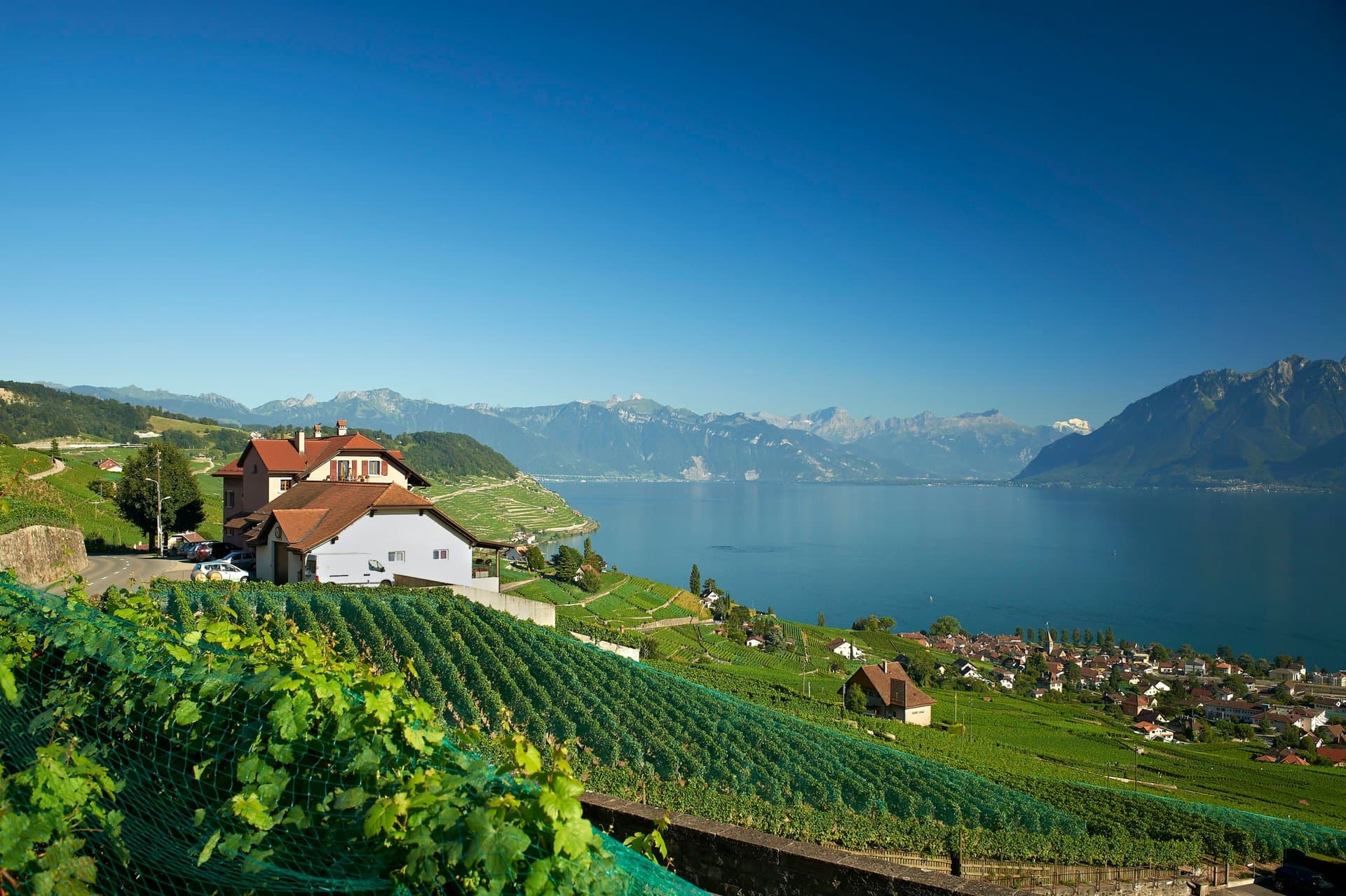 Domaine Croix Duplex