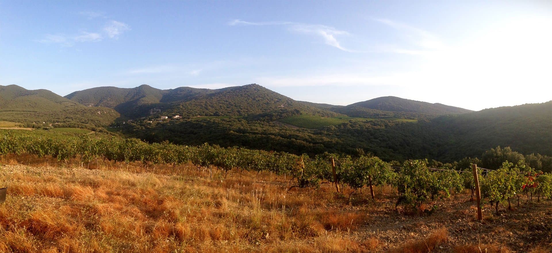 Domaine du Météore