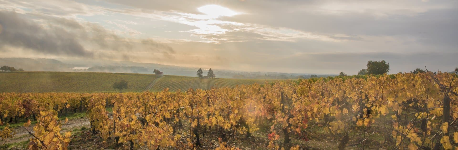 Domaine Les Ormousseaux