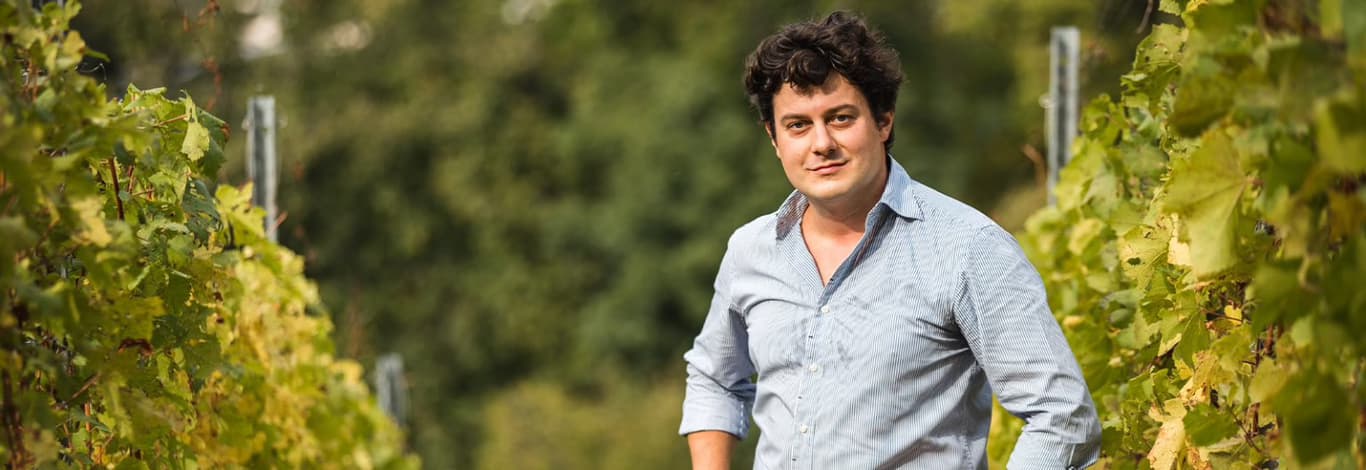 Tenuta Maso Corno - G. Larcher